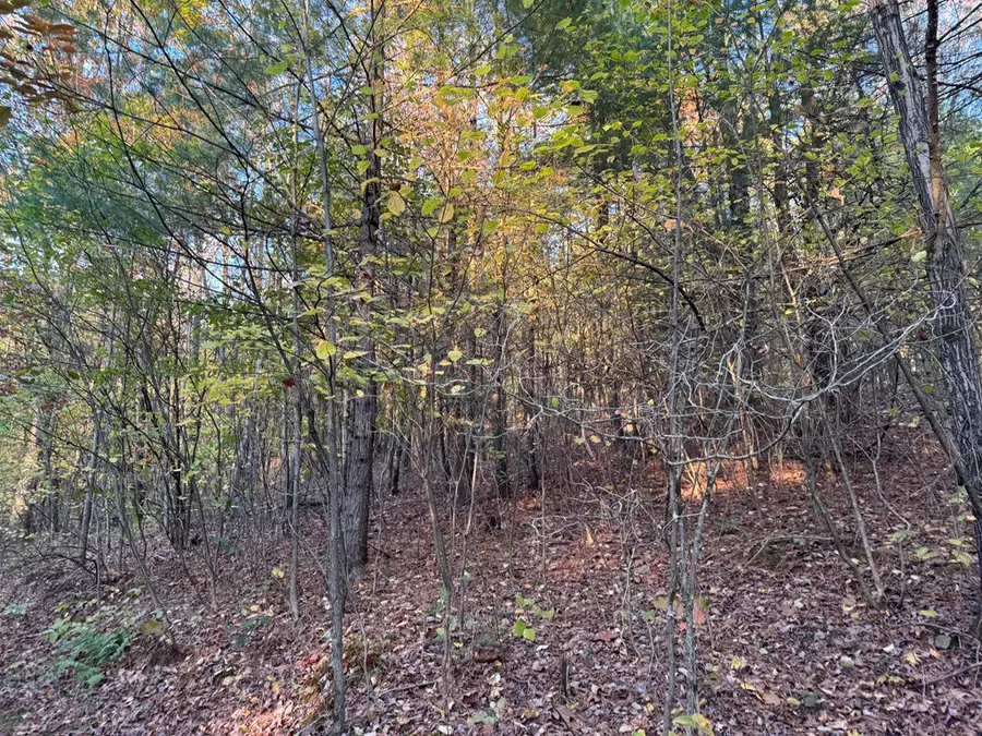 0 Oxbow Road, Waverly, NY 14892 - #3