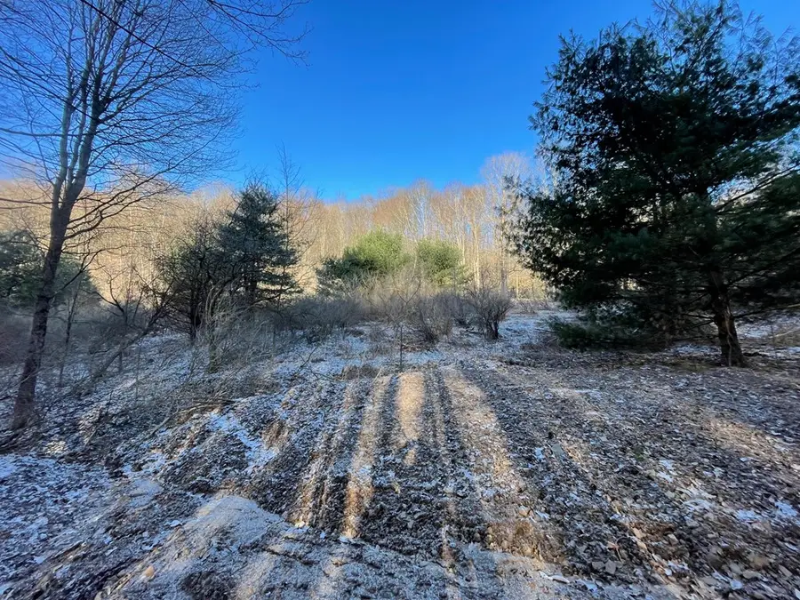 00 Fox Hollow Rd, Roulette, PA 16746 - #3