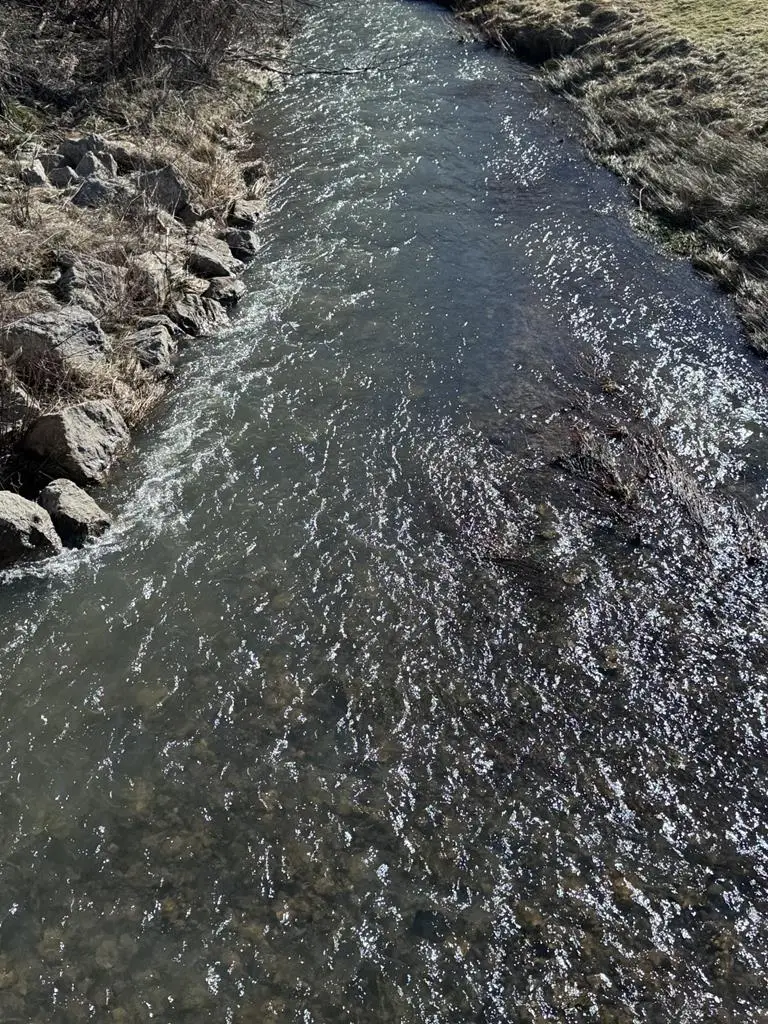 00 Rt. 46, Smethport, PA 16749 - #3