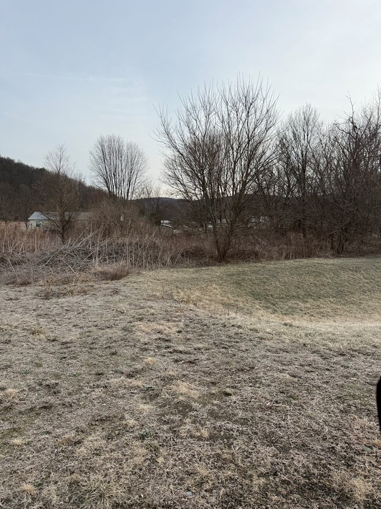 0 Wilcox Estate Dr, Waverly, NY 14892 - #2