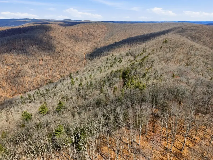 00 Dodge Hollow Road, Emporium, PA 15834 - #2