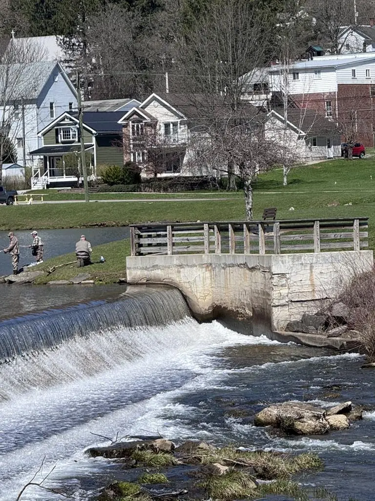 208 W. Water Street, Smethport, PA 16749 - #3