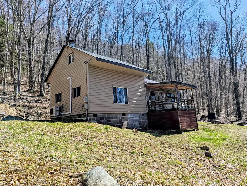 198 Spring Run Road, Smethport, PA 16749 - #1