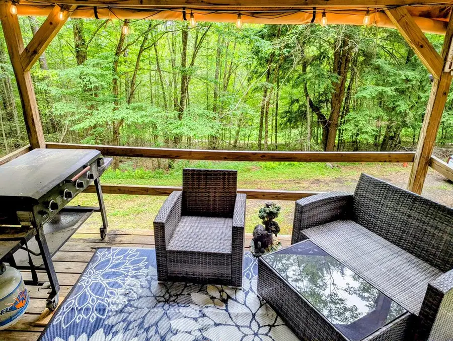 198 Spring Run Road, Smethport, PA 16749 - #2