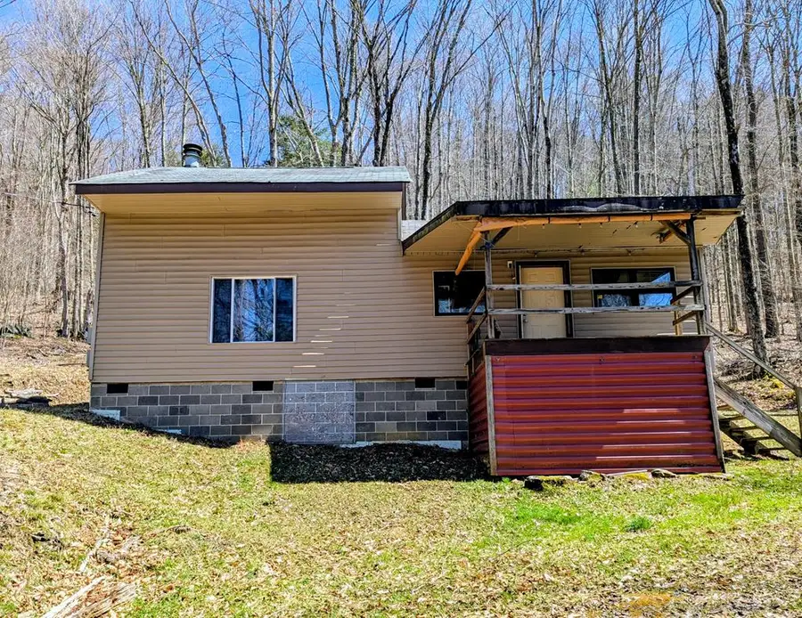 198 Spring Run Road, Smethport, PA 16749 - #3