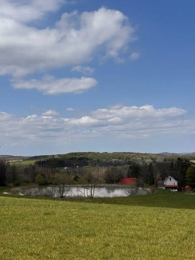 143 Bonham, Lockwood, NY 14859 - #3