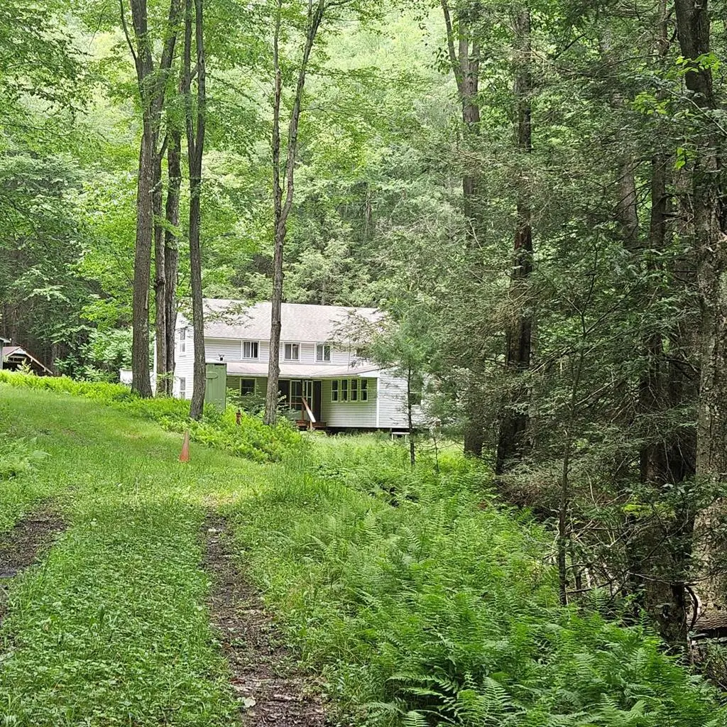 1992 Beaverdam Rd., Renovo, PA 17764 - #1