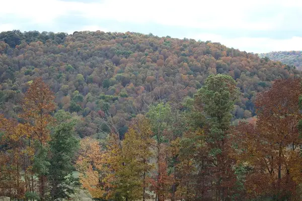 000 Coryland Road, Columbia Cross Roads, PA 16914