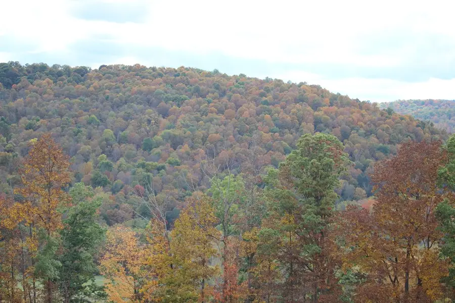 000 Coryland Road, Columbia Cross Roads, PA 16914 - #2