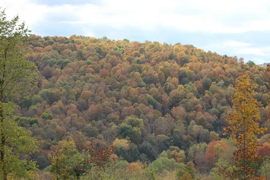 000 Coryland Road, Columbia Cross Roads, PA 16914 - #3