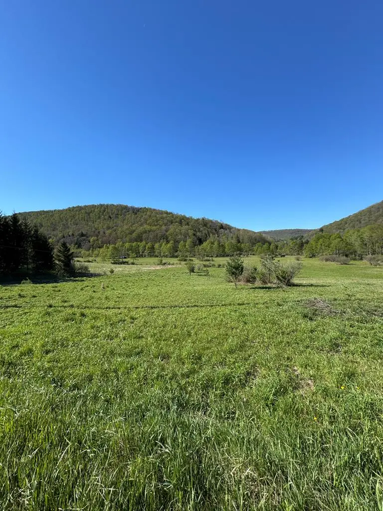 00 Route 44 North, Coudersport, PA 16915 - #1
