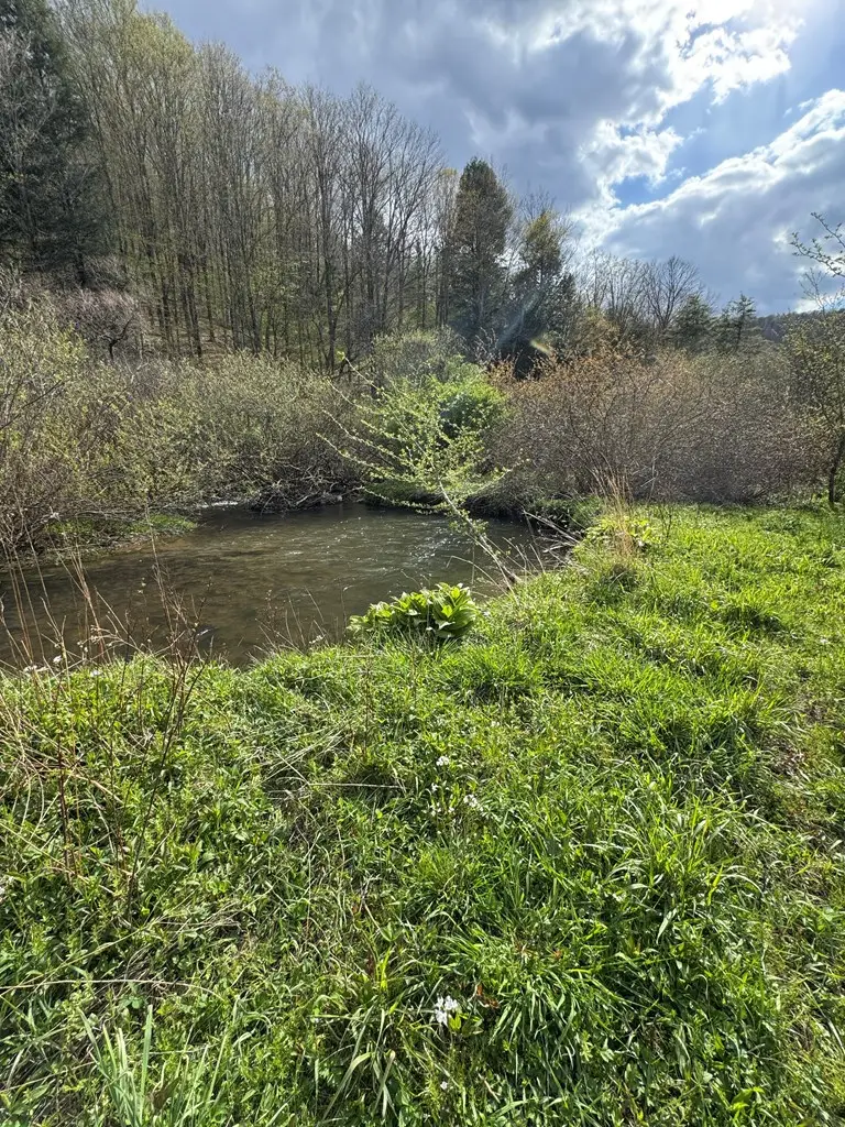 00 Route 44 North, Coudersport, PA 16915 - #2