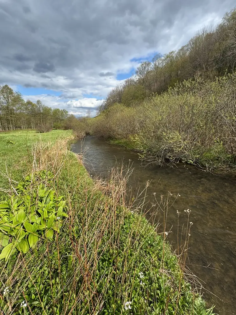 00 Route 44 North, Coudersport, PA 16915 - #3