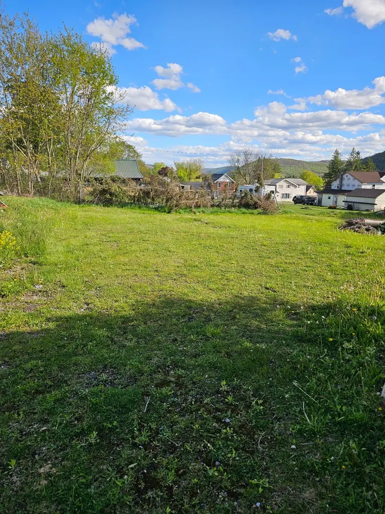 40 E. Ransom St., Port Allegany, PA 16743 - #3