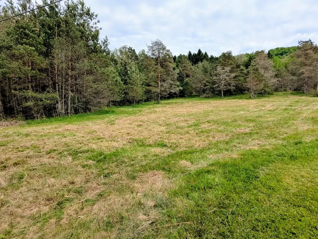 00 Two Mile, Port Allegany, PA 16743 - #1