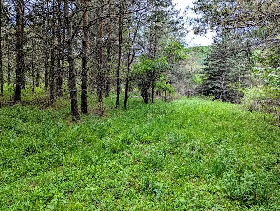 00 Two Mile, Port Allegany, PA 16743 - #3