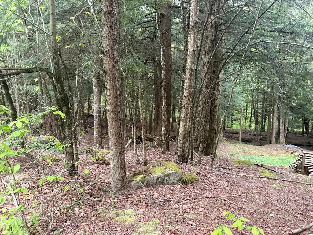 0 Bordell Rd., Smethport, PA 16749 - #1
