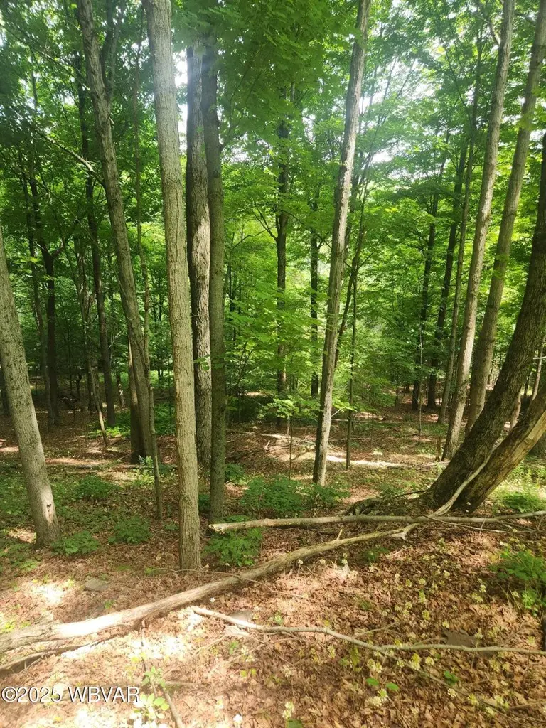 001 N Rt 220 Highway, Dushore, PA 18614 - #2