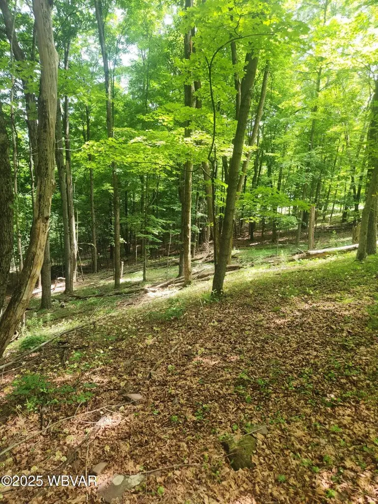 001 N Rt 220 Highway, Dushore, PA 18614 - #3