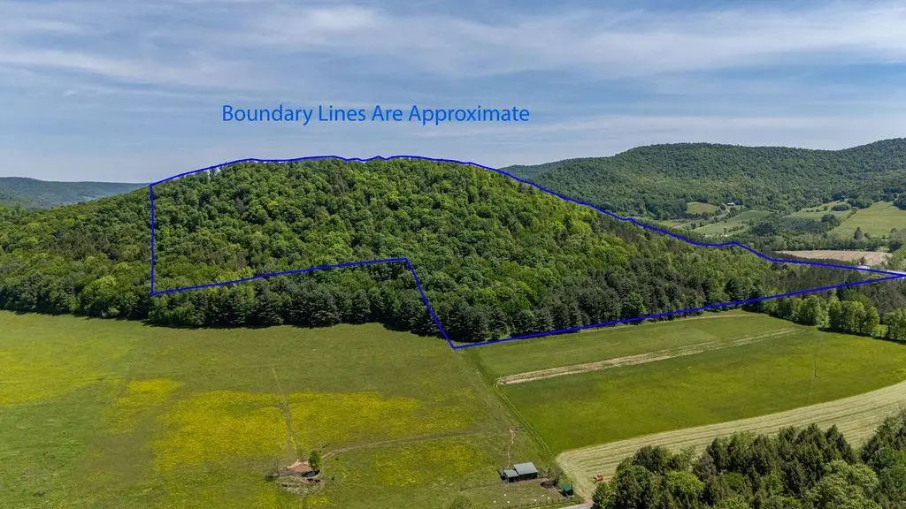 033A (parcel) Route 6 (land), Roulette, PA 16746 - #1