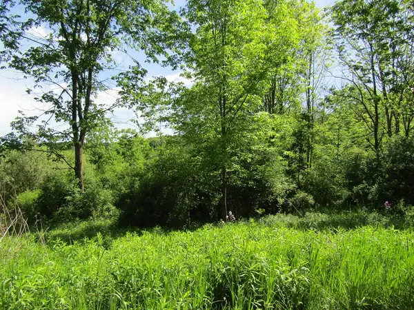 1779 Packard Rd, Covington, PA 16917