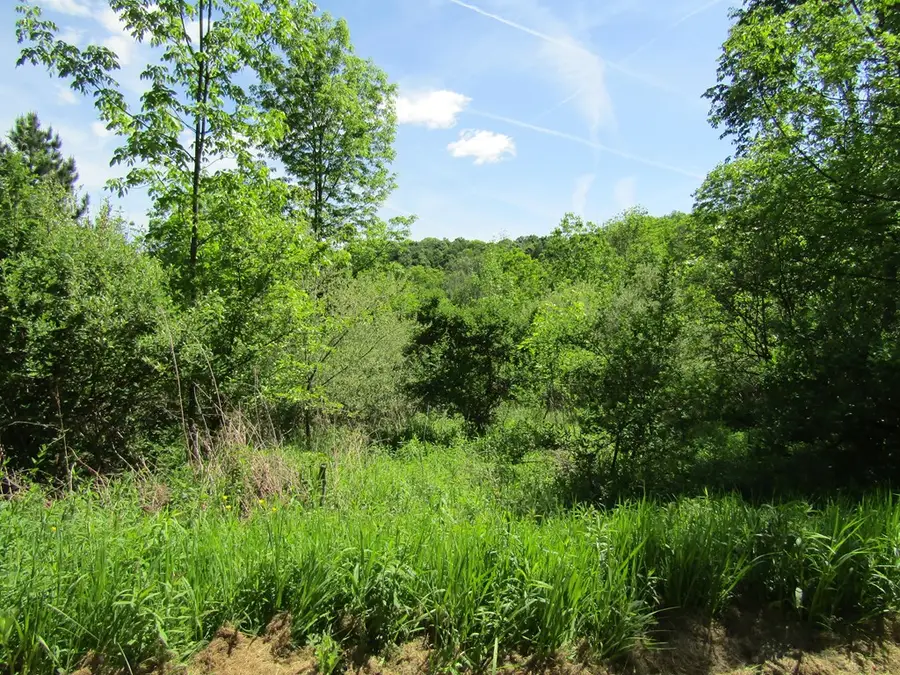 1779 Packard Rd, Covington, PA 16917 - #2