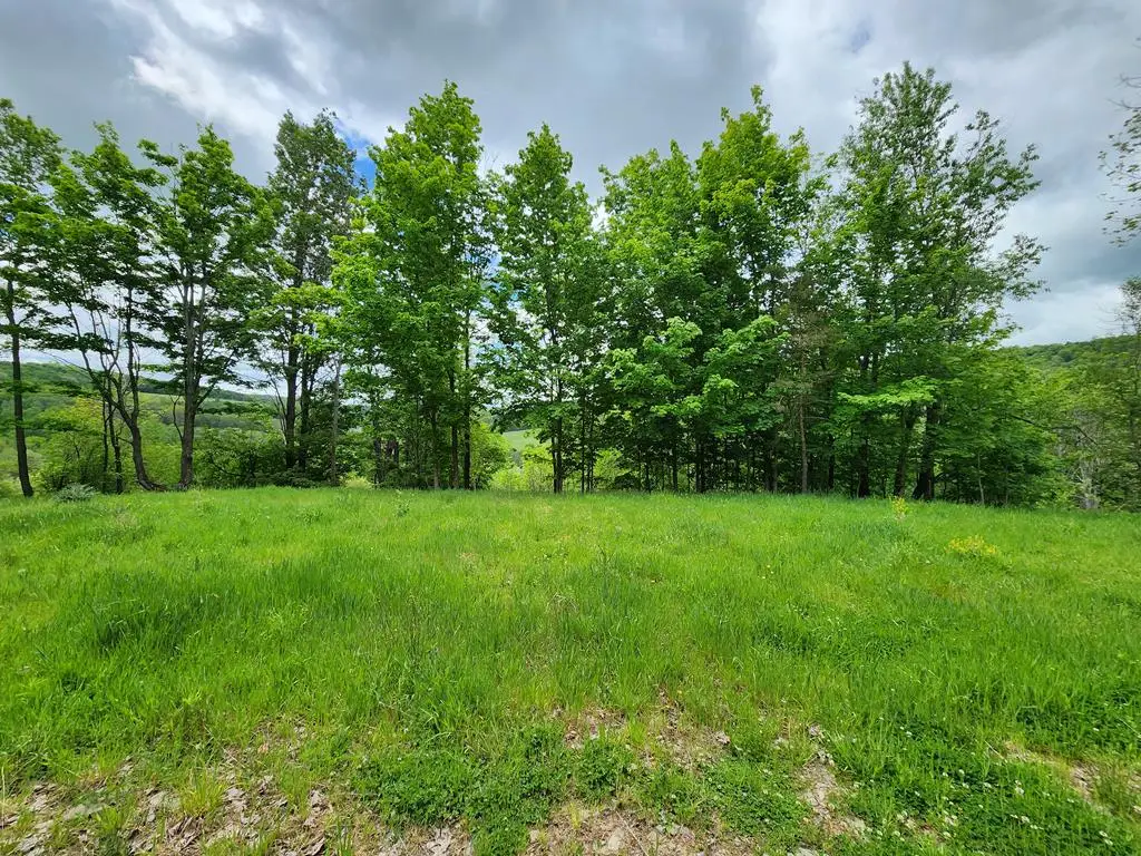 77 Sperry Young Rd, Sabinsville, PA 16943 - #1