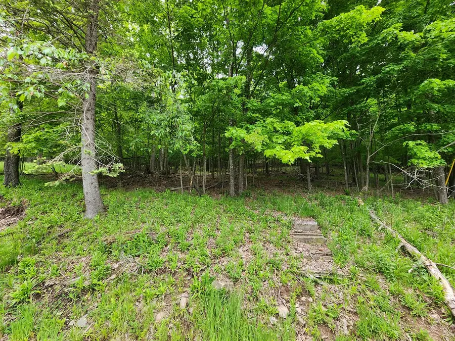 77 Sperry Young Rd, Sabinsville, PA 16943 - #3