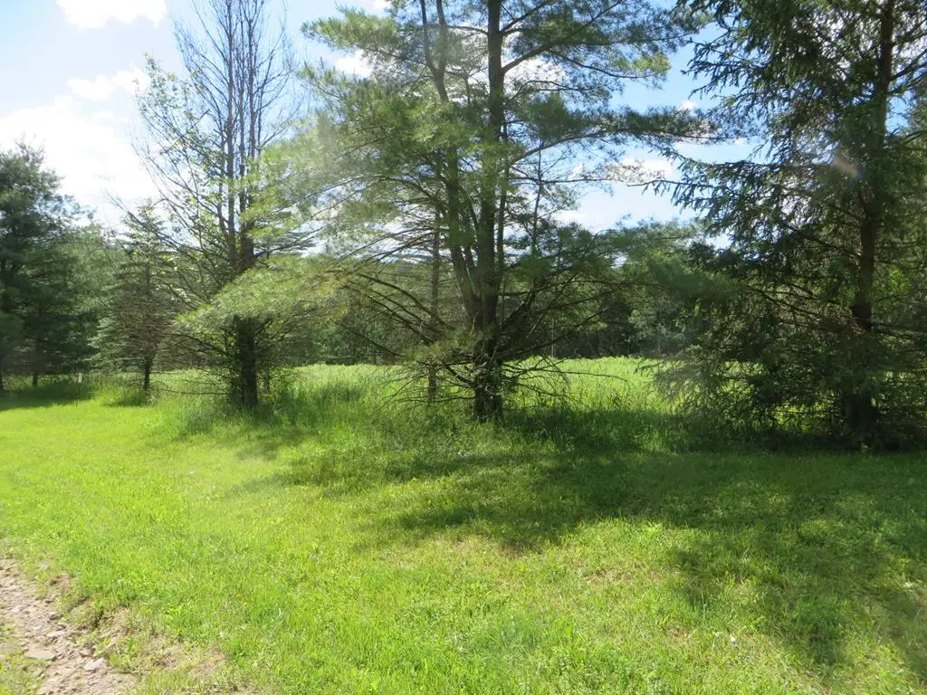 0 Roland Road, Shunk, PA 17768 - #1