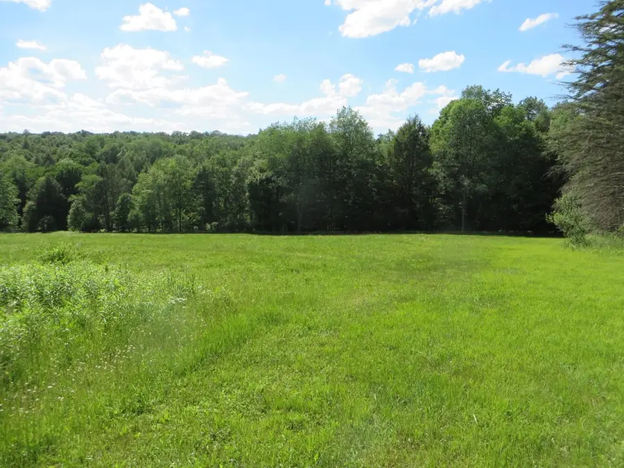 0 Roland Road, Shunk, PA 17768 - #3