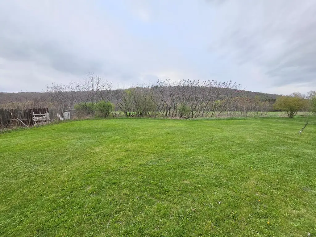 941 County Route 16, Beaver Dams, NY 14812 - #1