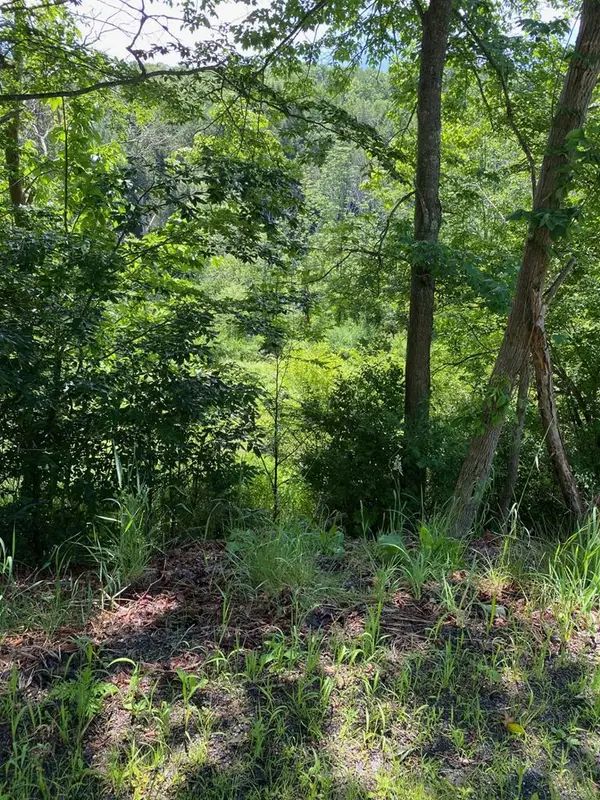 00 Balsam Road, Wellsboro, PA 16901