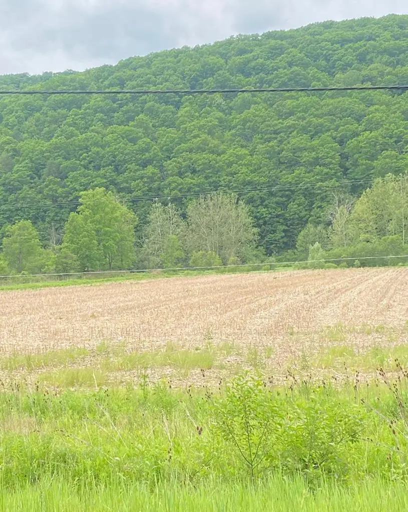 0 State Route 34, Lockwood, NY 14859 - #1