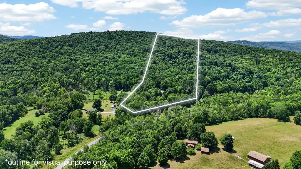 830 Cotter Rd, Sugar Run, PA 18846 - #1