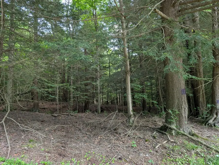 000 Jemison Rd, Westfield, PA 16950 - #3