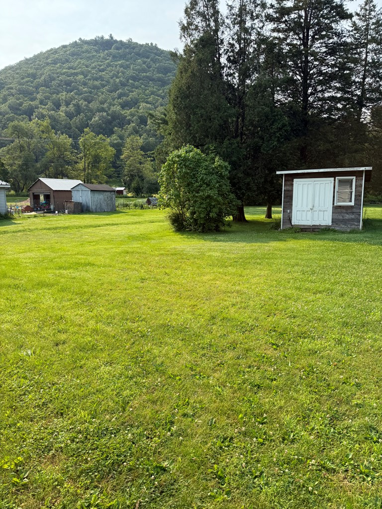 1896 Route 287, Morris, PA 16938 - #2