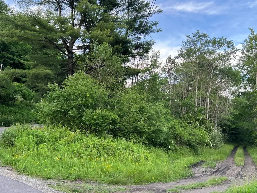 046 (parcel) Bennett Hill Road, Roaring Branch, PA 17765 - #2