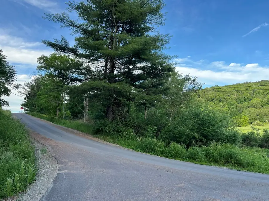 046 (parcel) Bennett Hill Road, Roaring Branch, PA 17765 - #3