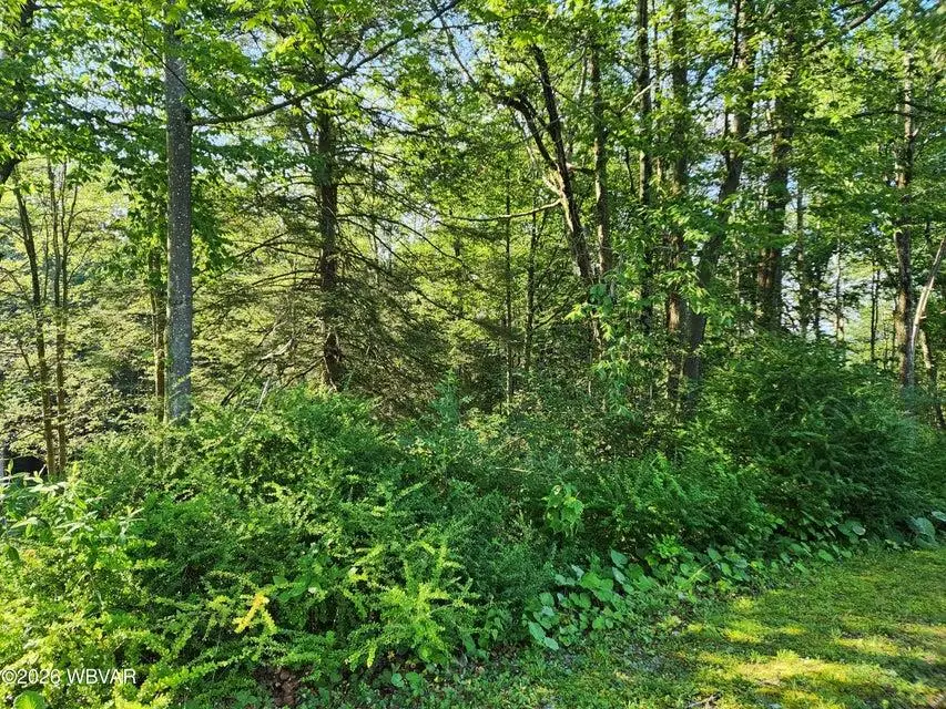 Lot #4 Rider Lane, Eagles Mere, PA 17731 - #1