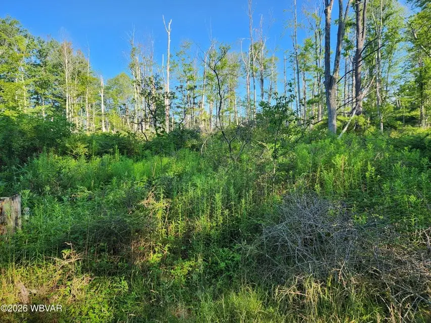 Lot #4 Rider Lane, Eagles Mere, PA 17731 - #3