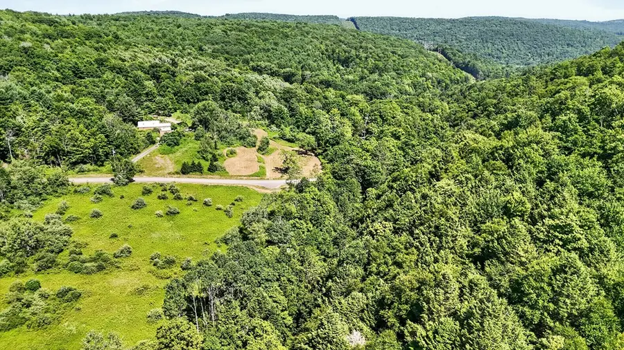 407 Reniff Rd, Lockwood, NY 14859 - #3