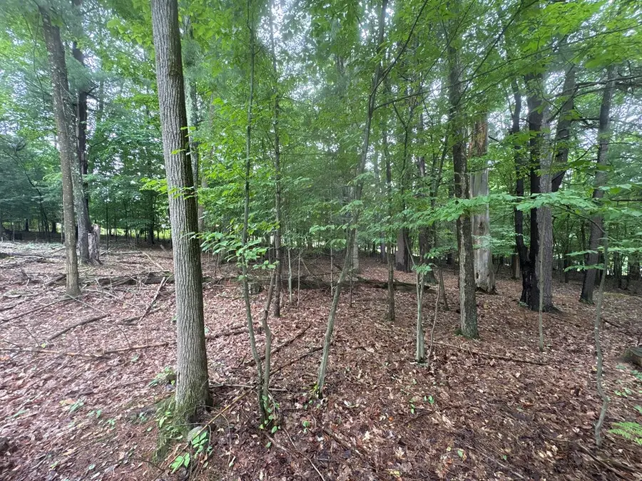 route 154, Canton, PA 17724 - #2
