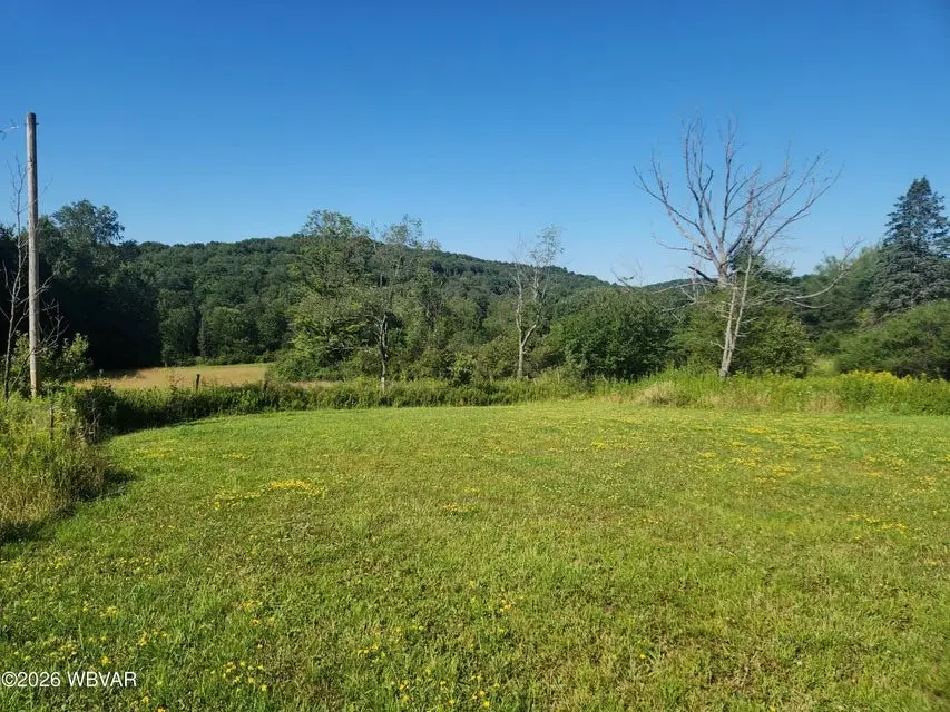 1329 Shaffers Notch Road, New Albany, PA 18833 - #2