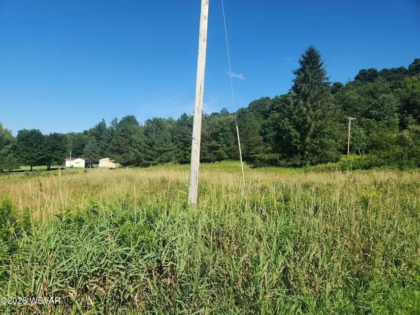 1329 Shaffers Notch Road, New Albany, PA 18833 - #3