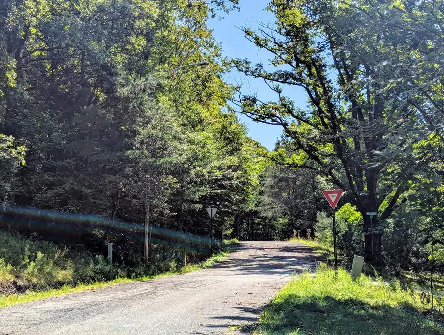 00 Lots #6,16,17 Max Roys Drive, Port Allegany, PA 16743 - #3