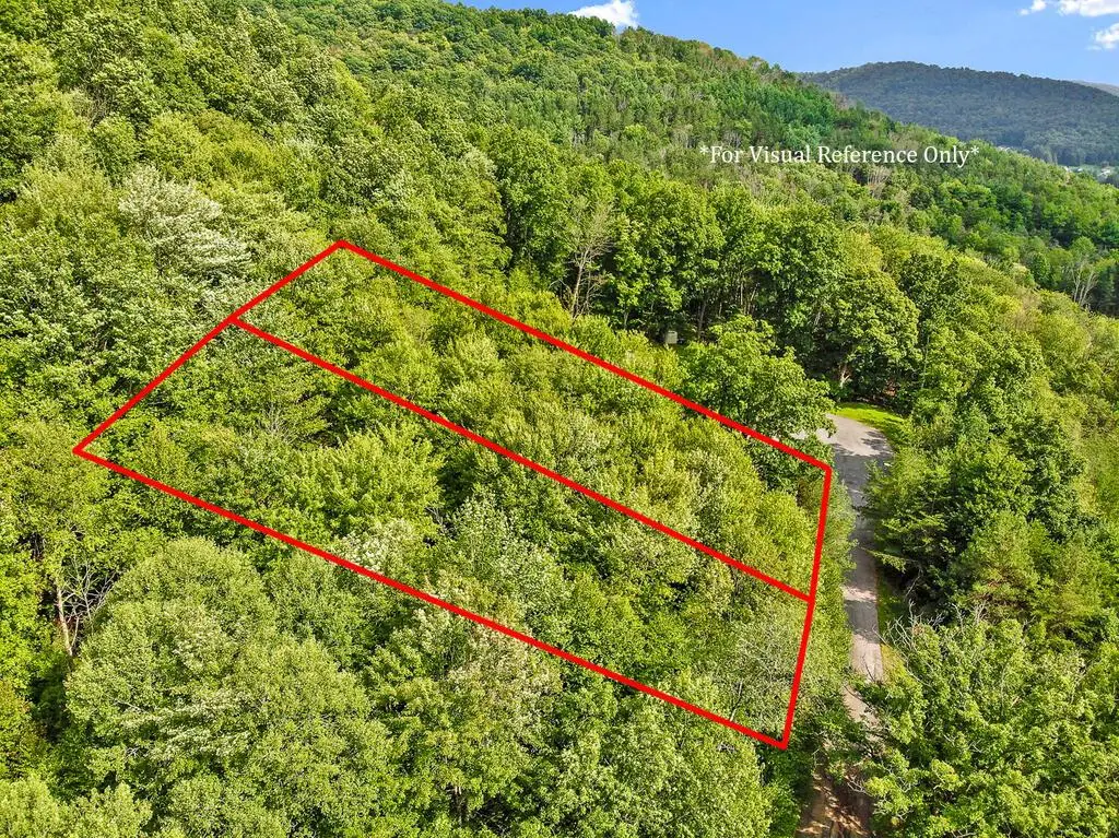 00 Lots # 18 & 19 Max Roys Drive, Port Allegany, PA 16743 - #1