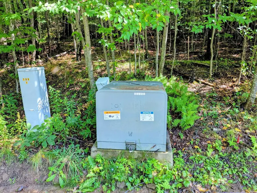 00 Lots # 18 & 19 Max Roys Drive, Port Allegany, PA 16743 - #2