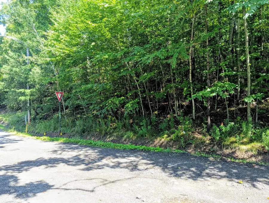 00 Lots # 18 & 19 Max Roys Drive, Port Allegany, PA 16743 - #3