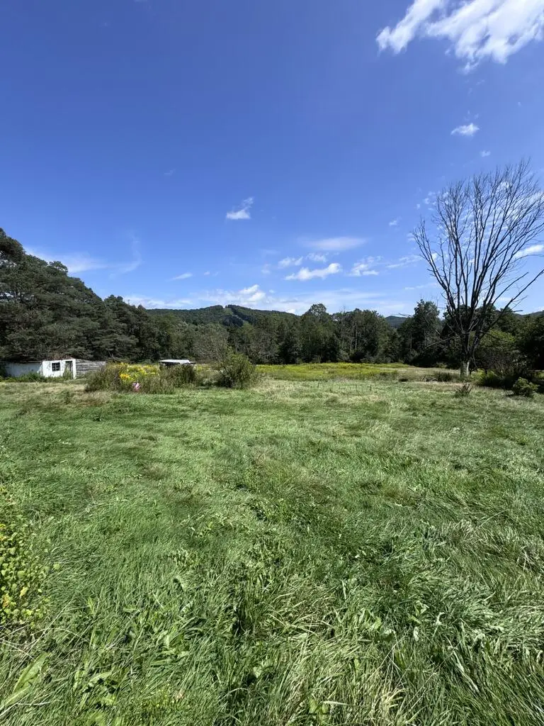 6055 Rt. 46, Smethport, PA 16749 - #2