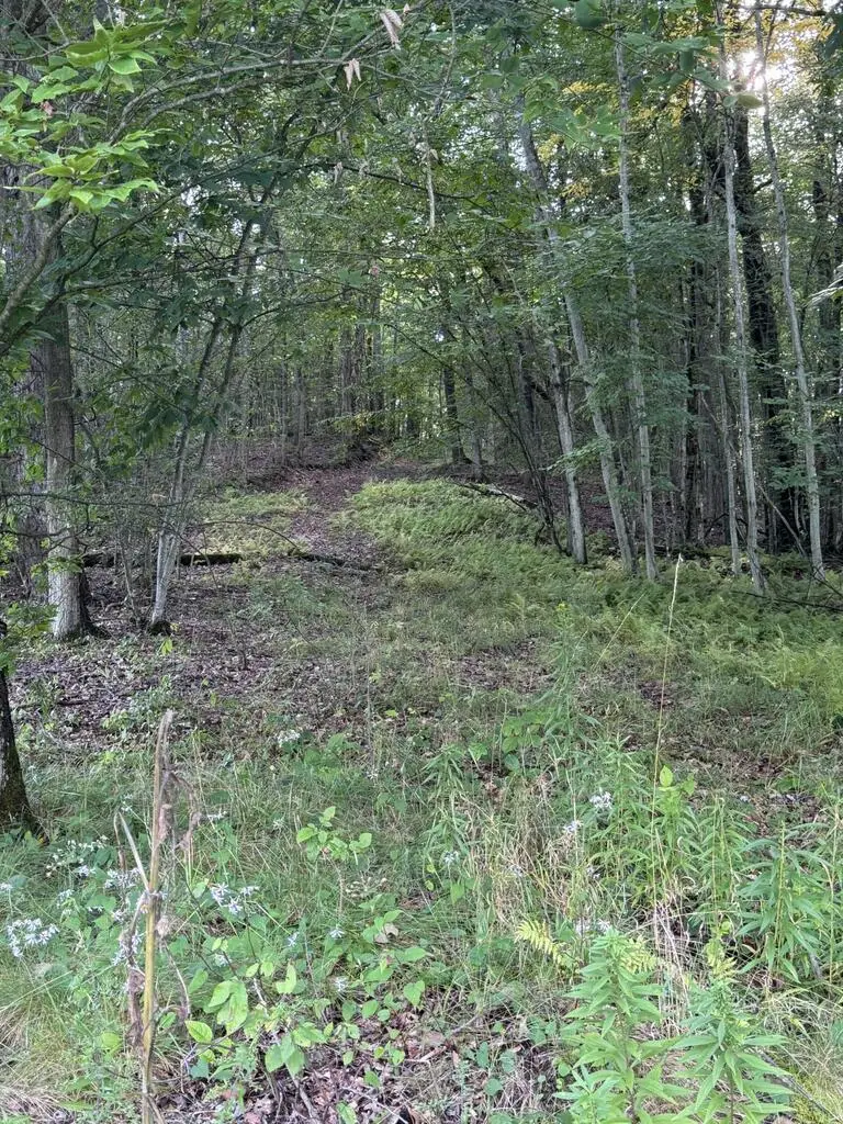 00 Route 346, Bradford, PA 16701 - #1